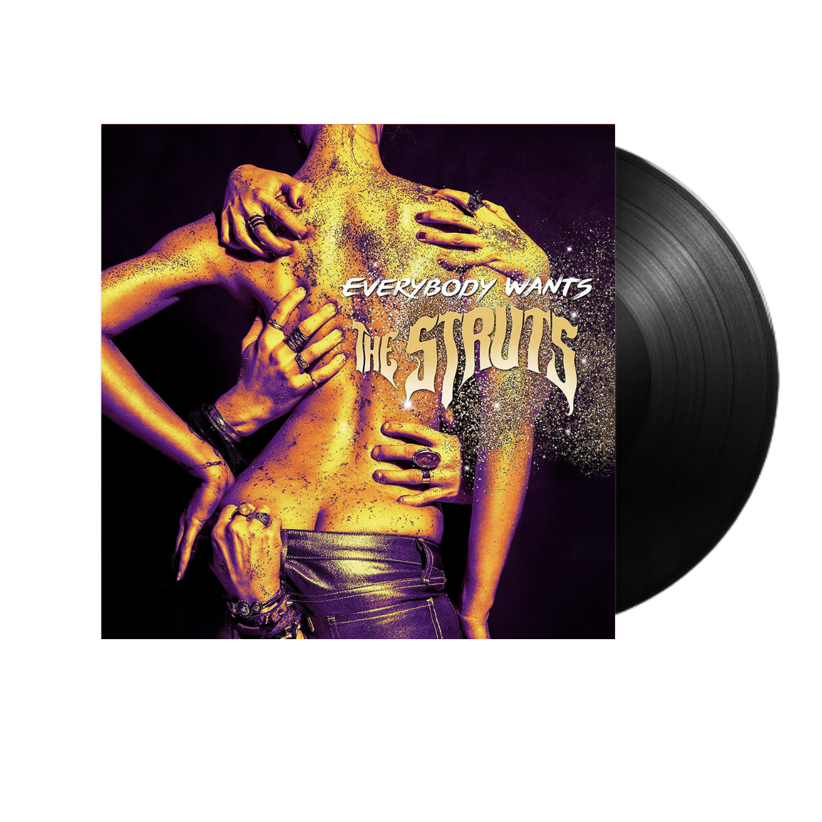 Everybody Wants - Vinyl