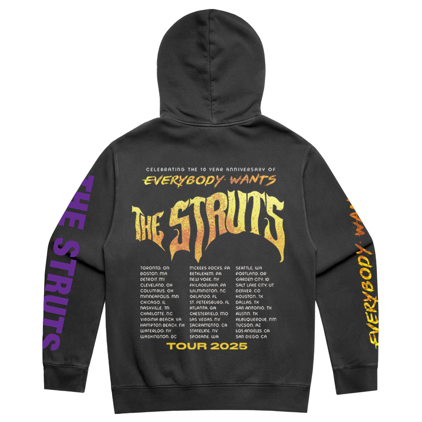Everybody Wants Tour Hoodie