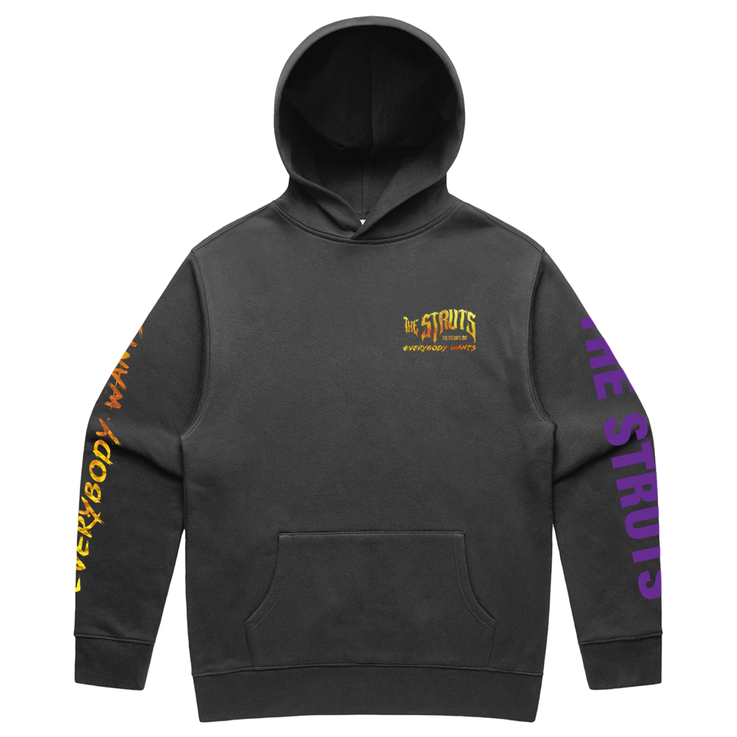 Everybody Wants Tour Hoodie